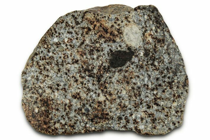 Chondrite Meteorite Section ( g) - NWA #347083